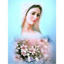 Kit De Peinture Diamant 5D Vierge De Guadalupe - Portrait 30x40 Cm, Diamants Ronds, Tout Inclus - 7
