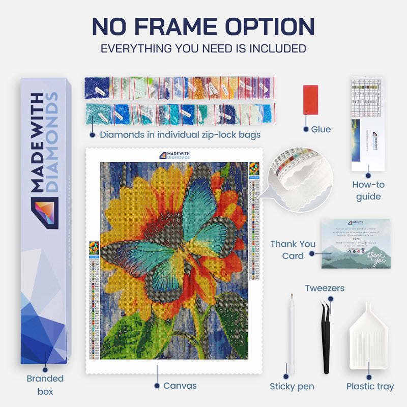 Flowers And Butterfly Diamond Painting Kit No Frame Option