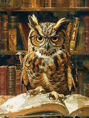The Librarian Owl