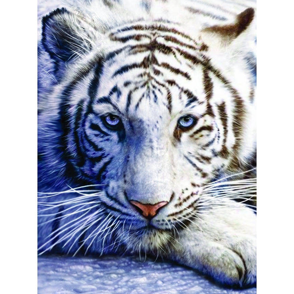 A White Tiger Diamond Painting Diamond Art Kit