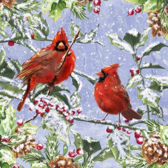 Birds & Holly Christmas Diamond Painting Diamond Art Kit