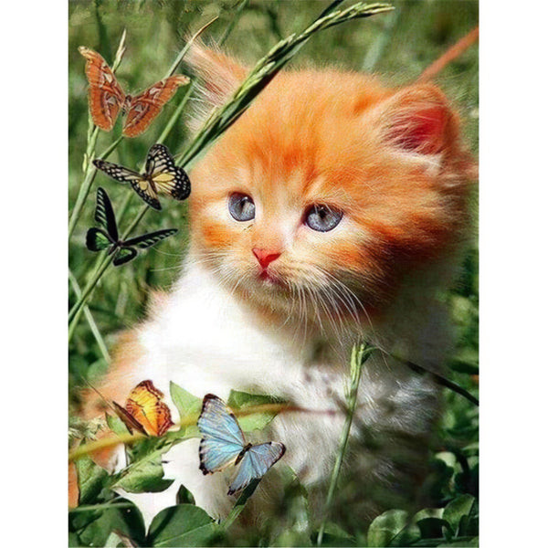 Cat And Butterfly Diamond Painting Diamond Art Kit