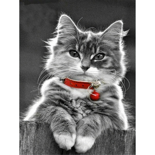 Cat With A Red Necklace Diamond Painting Diamond Art Kit