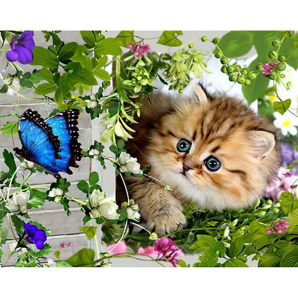 Chaton Et Papillon Diamond Painting Diamond Art Kit