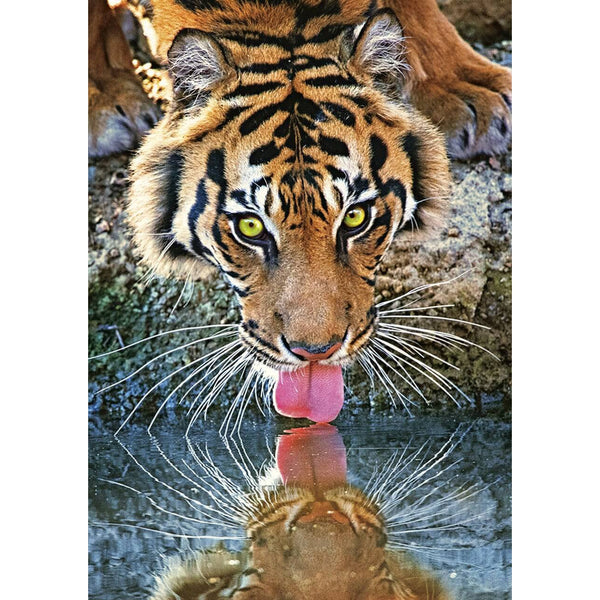 Tiger Drinking Water Diamond Painting Diamond Art Kit