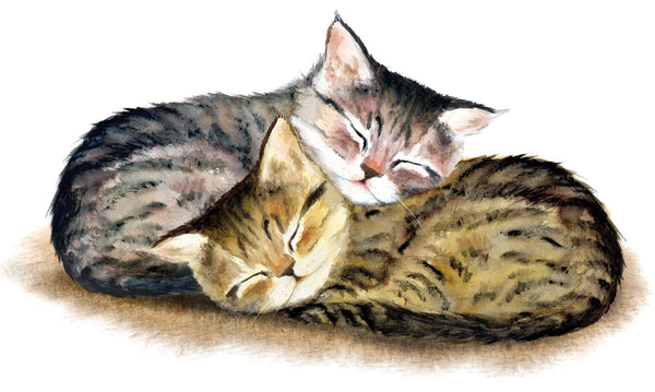 Two Cute Cats Diamond Painting Diamond Art Kit
