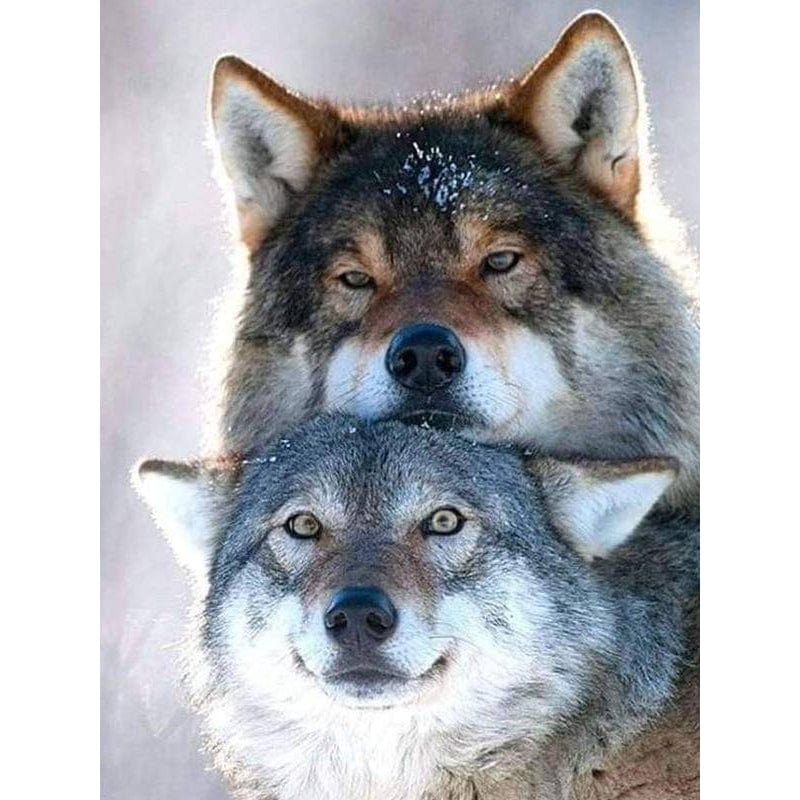 Two Wolves Diamond Painting Diamond Art Kit