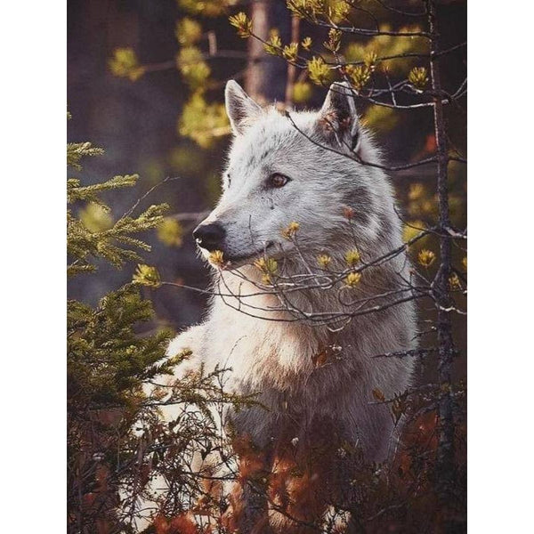 Wolf In Jungle Diamond Painting Diamond Art Kit